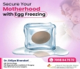 IVF Specialist in Indore | Affordable IVF Cost in Indore